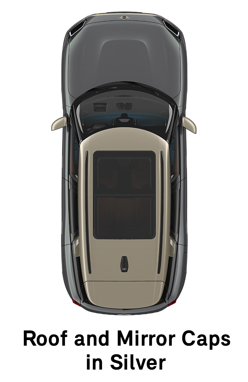 MINI Roof: Roof and Mirror Caps in Black
